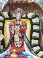 tirupati 6.jpeg